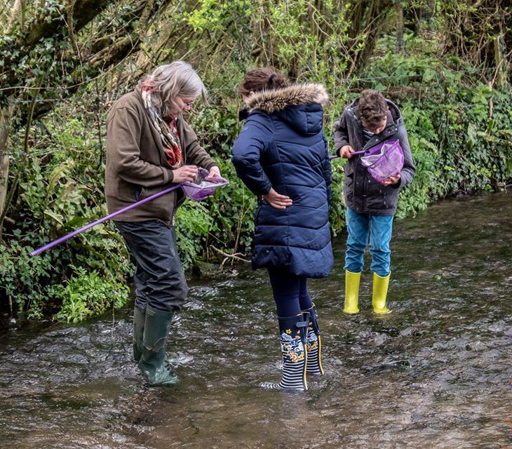 Discovering the invertebrate wildlife in the River Cerne